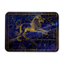 Search for leo magnets Astrology