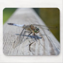 Search for damselflies mouse mats Dragonflies