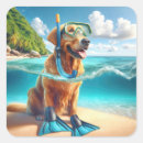 Search for goggles stickers Pet