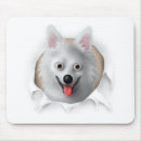Search for american eskimo dog electronics Dogs