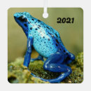 Search for darts christmas tree decorations Amphibian