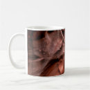 Search for red rock canyon mugs United states