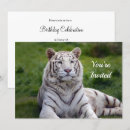 Search for white tiger invitations Animal