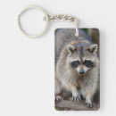 Search for backyard accessories Curious