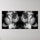 Search for black and white tree posters Apple