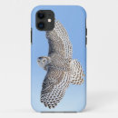 Search for snowy owl cases Bubo scandiacus
