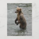 Search for alaska vertical postcards Bear