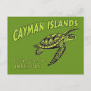 Search for cayman islands postcards Illustration