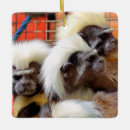 Search for cute monkey christmas tree decorations Animals