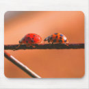 Search for buddy mouse mats Cute