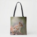 Search for red squirrel bags Wild