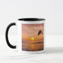 Search for bottlenose dolphin mugs Animal