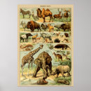 Search for rhinoceros paintings posters African