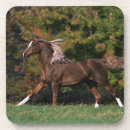 Search for arab horse coasters Running