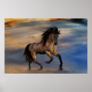 Search for buckskin horse posters Stallion