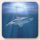 Search for underwater shark coasters Sea