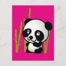 Search for panda postcards Black and white
