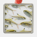 Search for fin christmas tree decorations Swimming