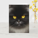 Search for kitty halloween cards Pet