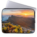 Search for canary electronics Landscape