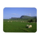 Search for isle of skye magnets United kingdom