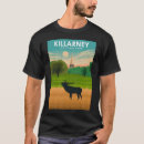 Search for 100 irish posters Ireland