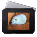 Search for fanciful animals cases Rodents