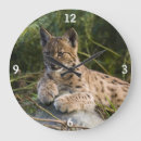 Search for wildcat art Lynx