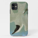 Search for gull iphone cases 1838
