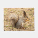 Search for squirrel doormats Sweet