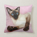 Search for siamese cat gifts Seal point