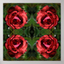 Search for red rose art Flower