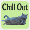 Search for chill square stickers Cat