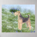 Search for welsh terrier art Pets