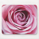Search for fuchsia flower mouse mats Garden