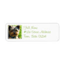 Search for yorkshire terrier return address labels Puppy