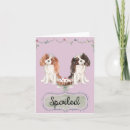 Search for spoiled cards Cute