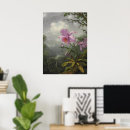 Search for martin johnson heade posters Hummingbirds