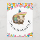 Search for funny pets postcards Guinea pig