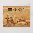 Search for kenya postcards Lion