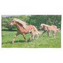 Search for run pillowcases Funny