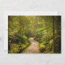 Search for new zealand tree cards Forest