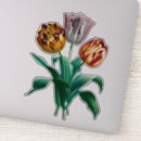 Search for yellow tulip flower stickers Pink