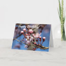 Search for spring bud cards Tree