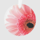 Search for gerbera daisy christmas tree decorations Flower