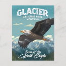 Search for eagles postcards National park