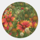 Search for arid stickers Flora