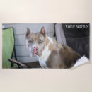 Search for pit bulls Cute