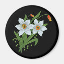 Search for flowered background magnets White