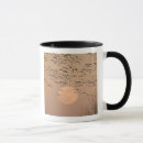 Search for snow geese mugs Wildlife